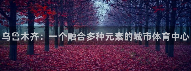 千亿国际官网下载平台注册流程图:乌鲁木齐:一个融合多种元素的