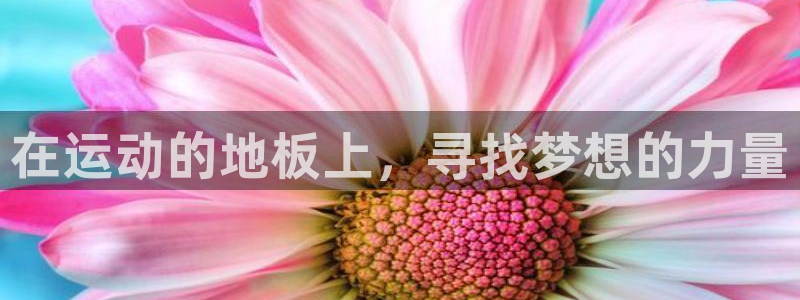 千亿国际官方正版app娱乐代理怎么样:在运动的地板上,寻找梦