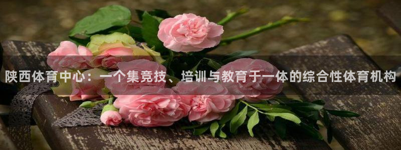 千亿国际官网下载招商电话号码是多少啊:陕西体育中心:一个集竞