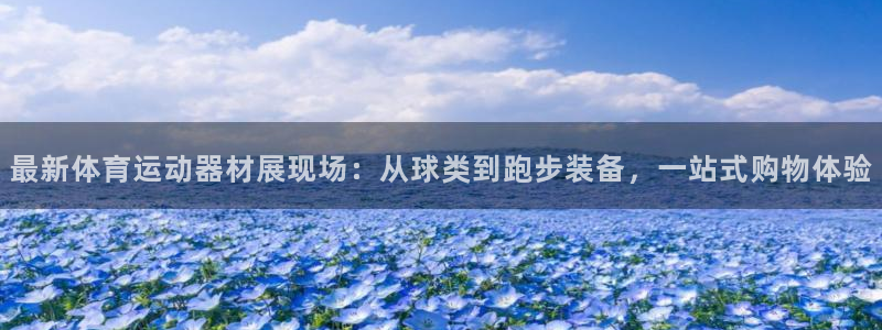 千亿国际官方正版app娱乐网站:最新体育运动器材展现场:从球